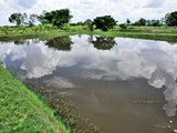 Typical Tilapia pond in Mjinchi